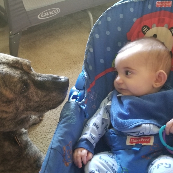 Dogs & Kids - Picture 15 of 16